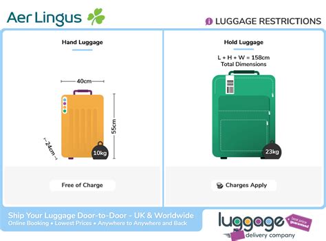 aer lingus check in baggage.